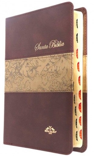 Biblia RVR 1909 VR55TI