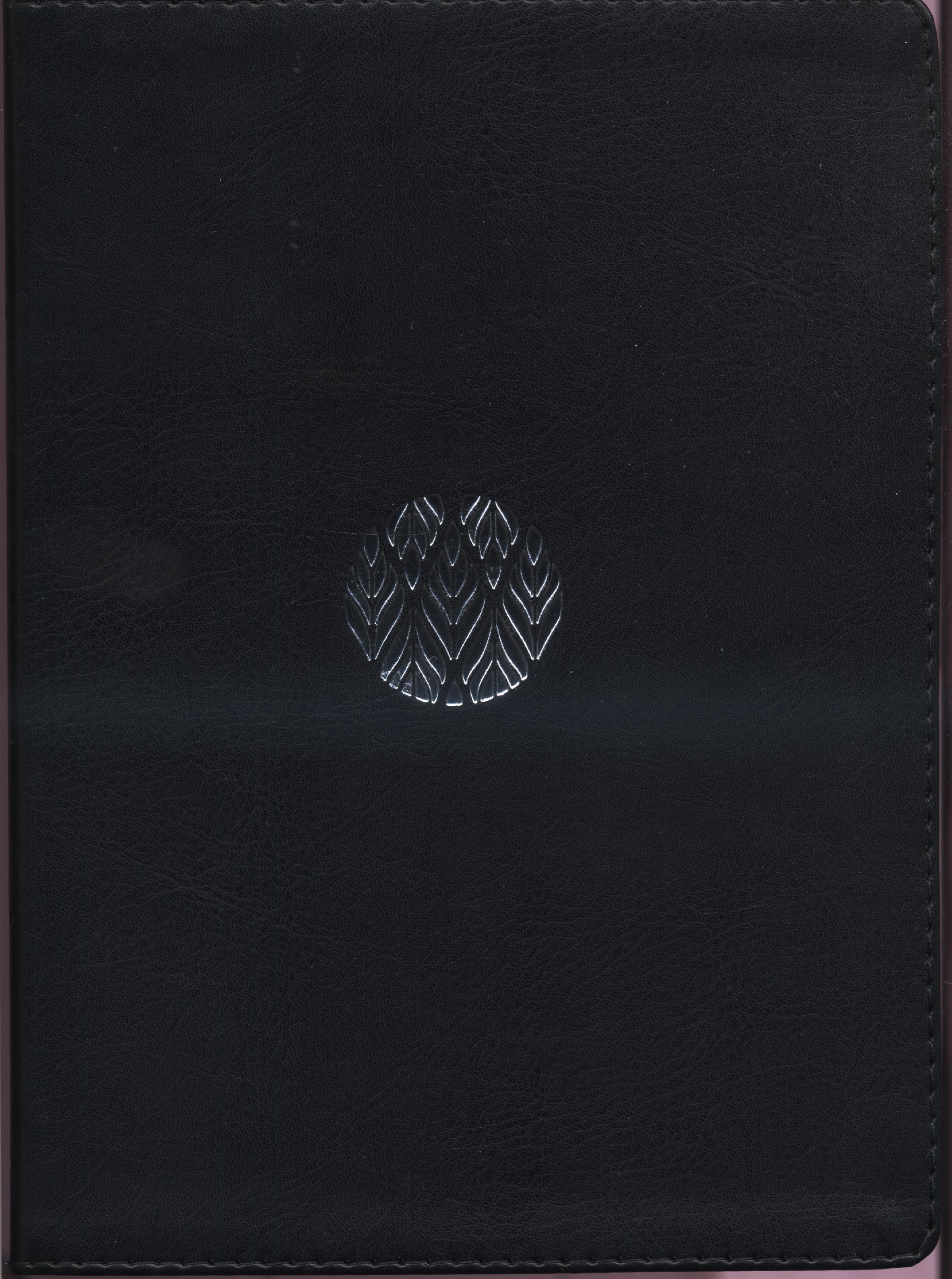 Biblia de estudio RVR95086cEELM  1995  Negro