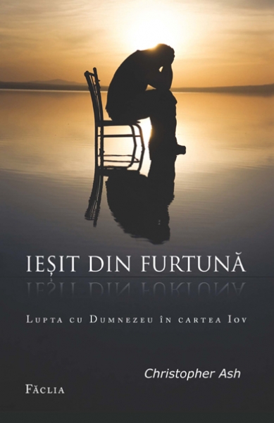 Ieşit din furtună
