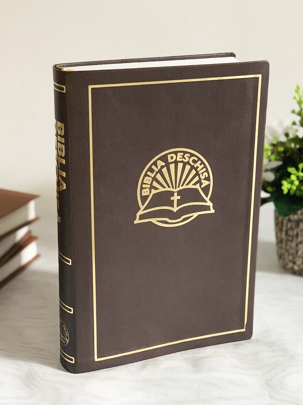 Biblia deschisă - copertă flexibilă