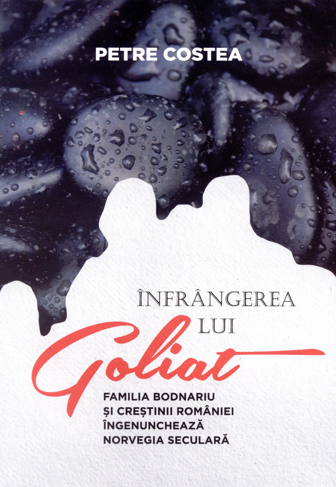 Înfrângerea lui Goliat