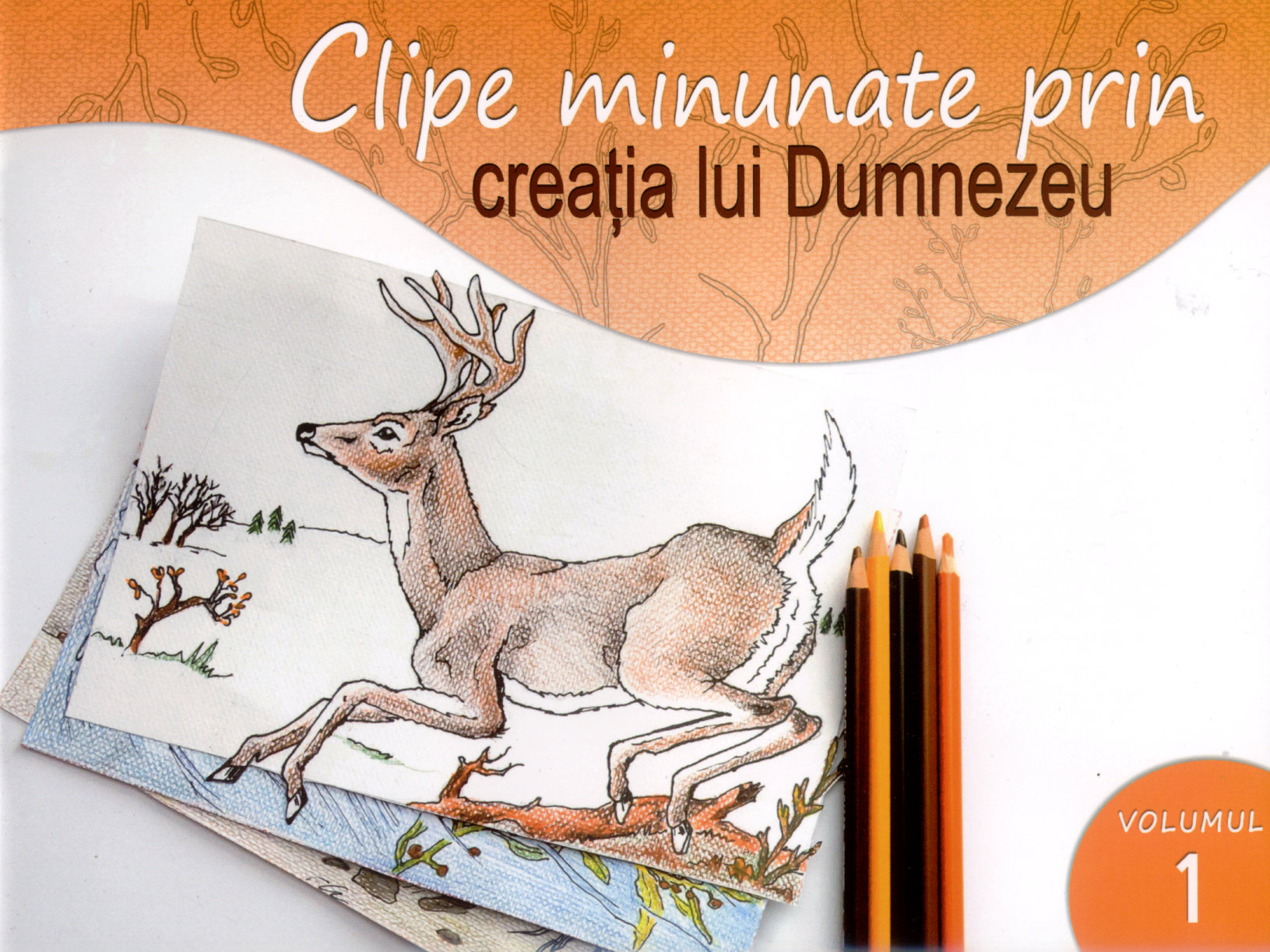 Clipe minunate prin creaţia lui Dumnezeu (vol 1)