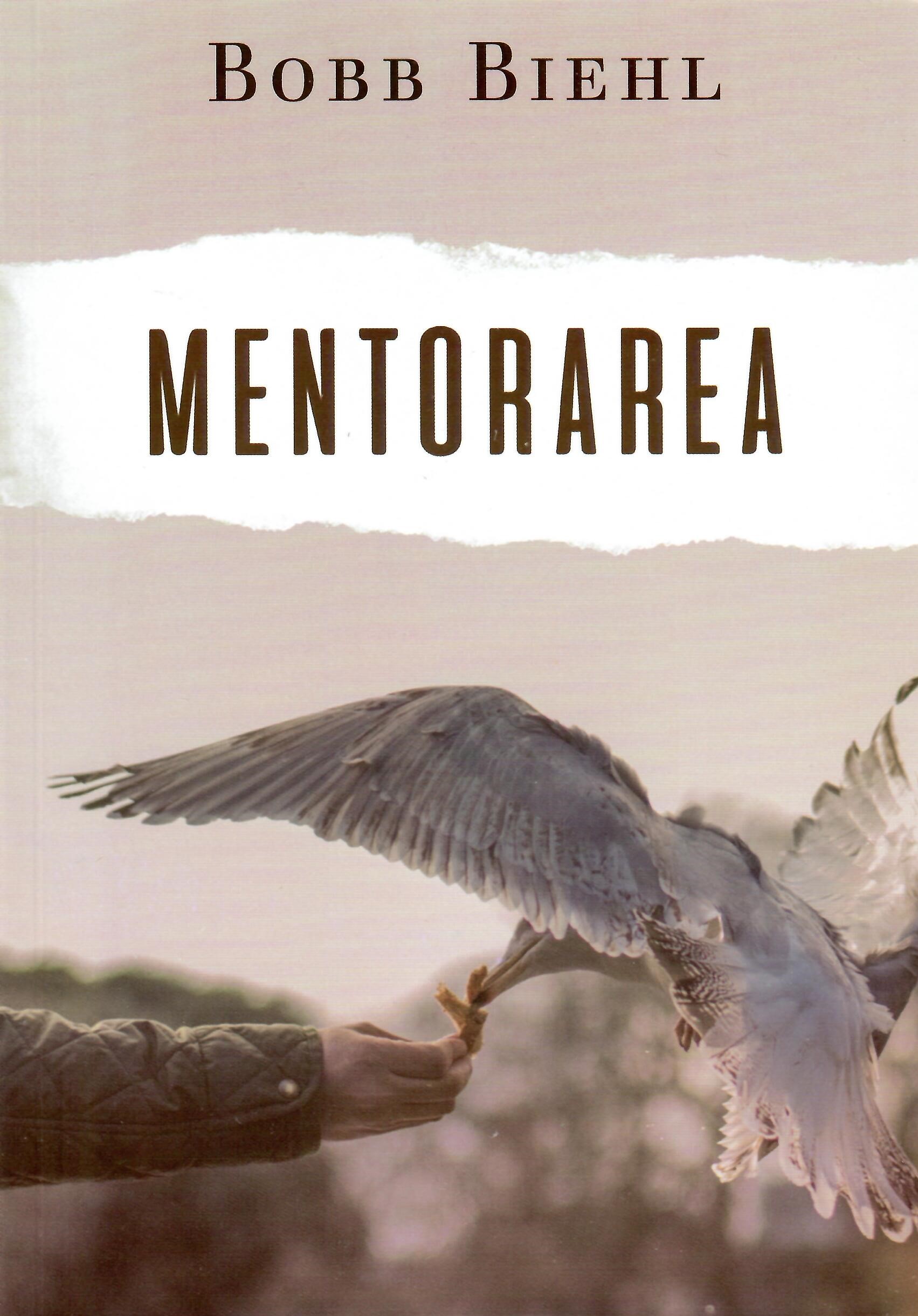 Mentorarea