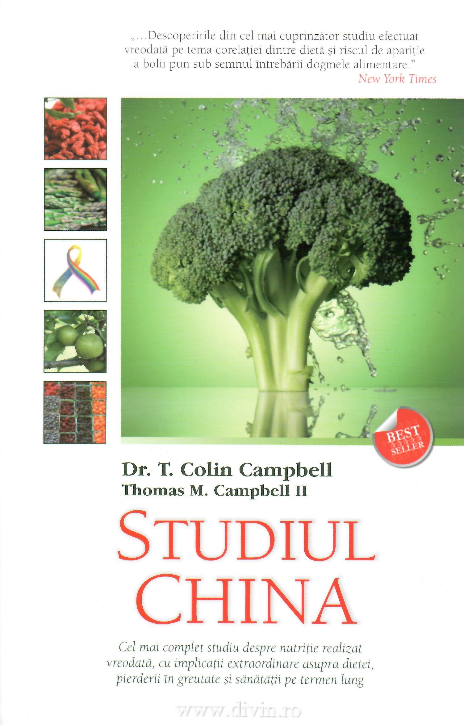 STUDIUL CHINA
