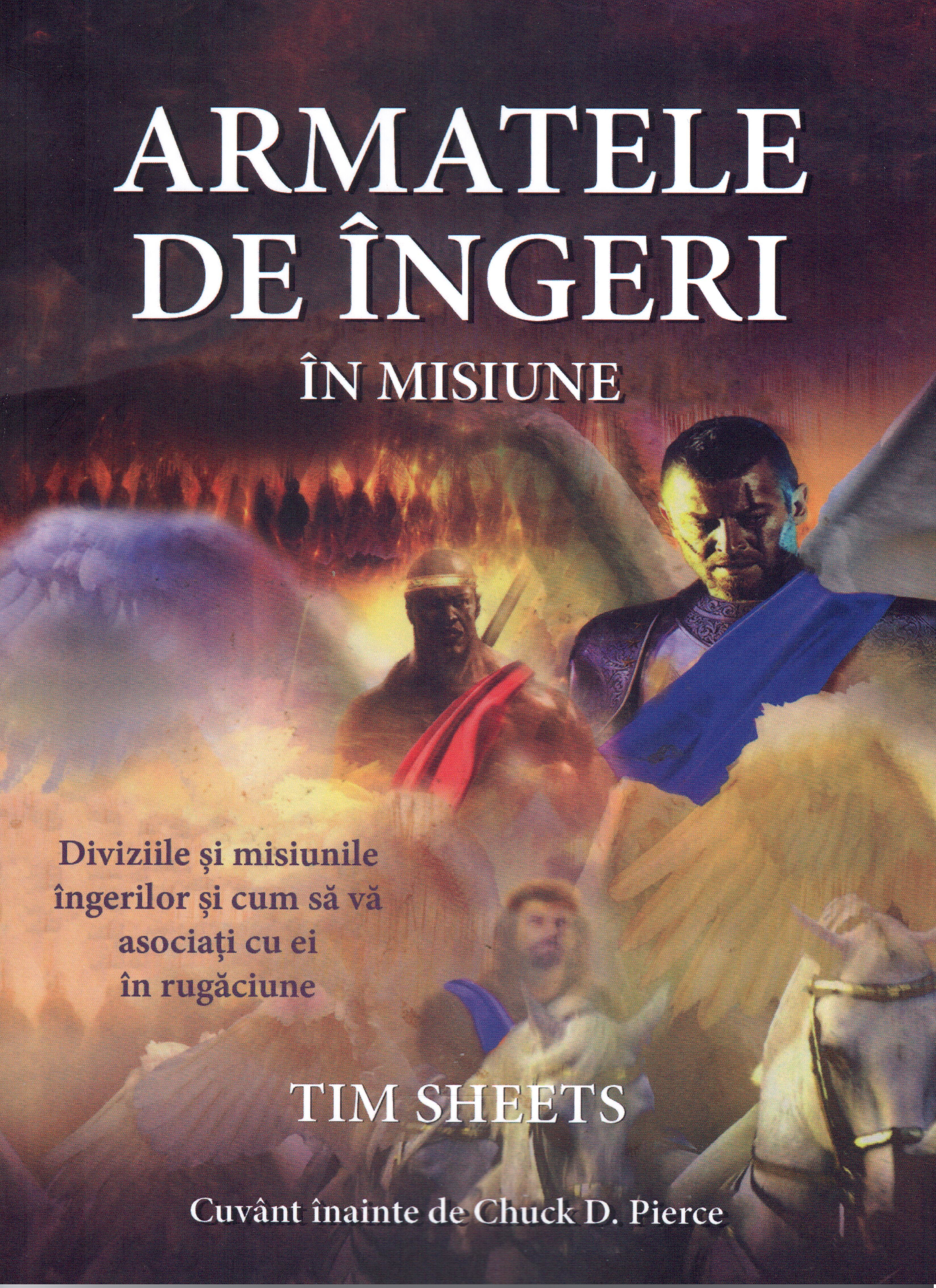 Armatele de ingeri in misiune - Tim Sheets