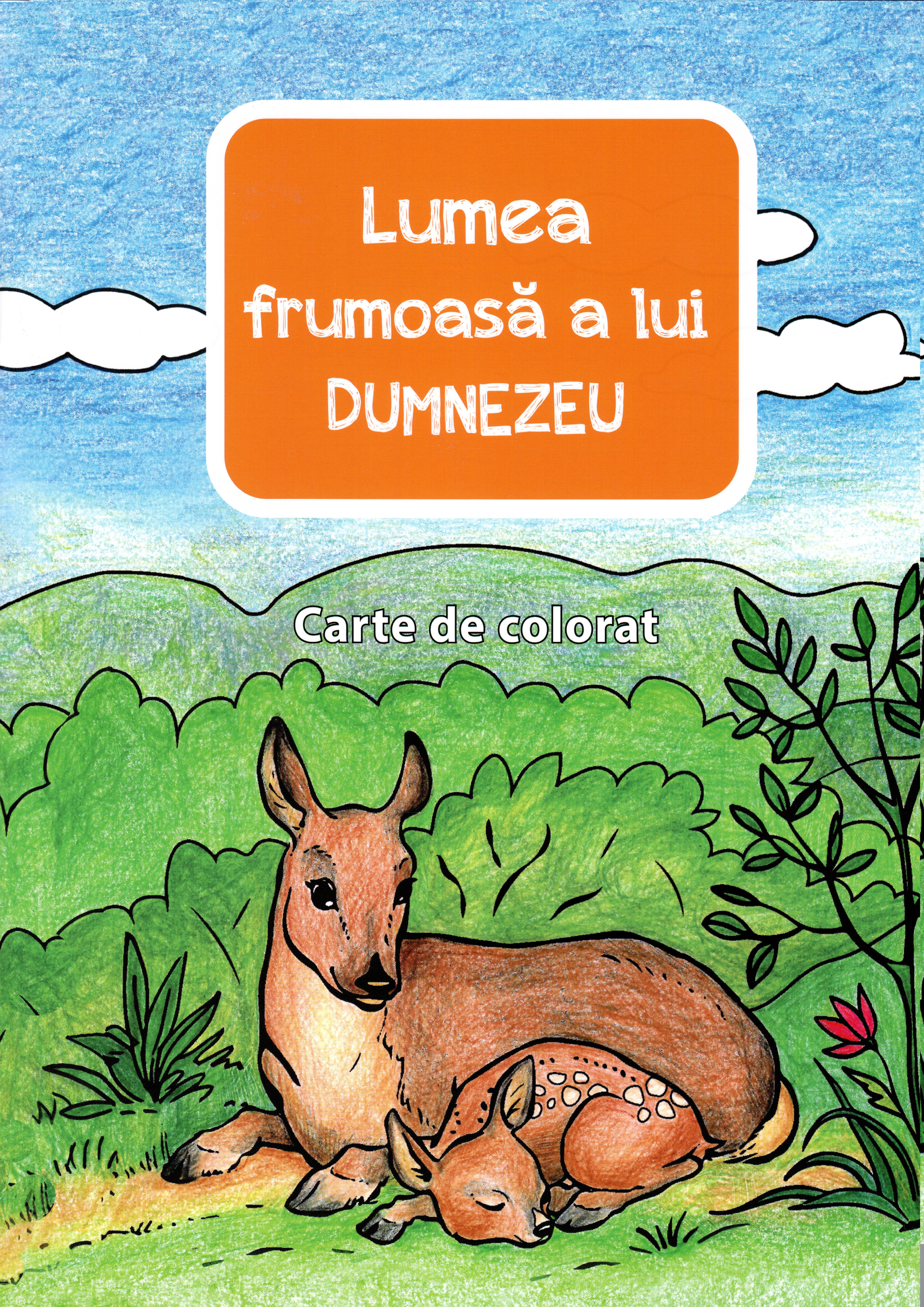 Lumea frumoasa a Lui Dumnezeu - carte de colorat
