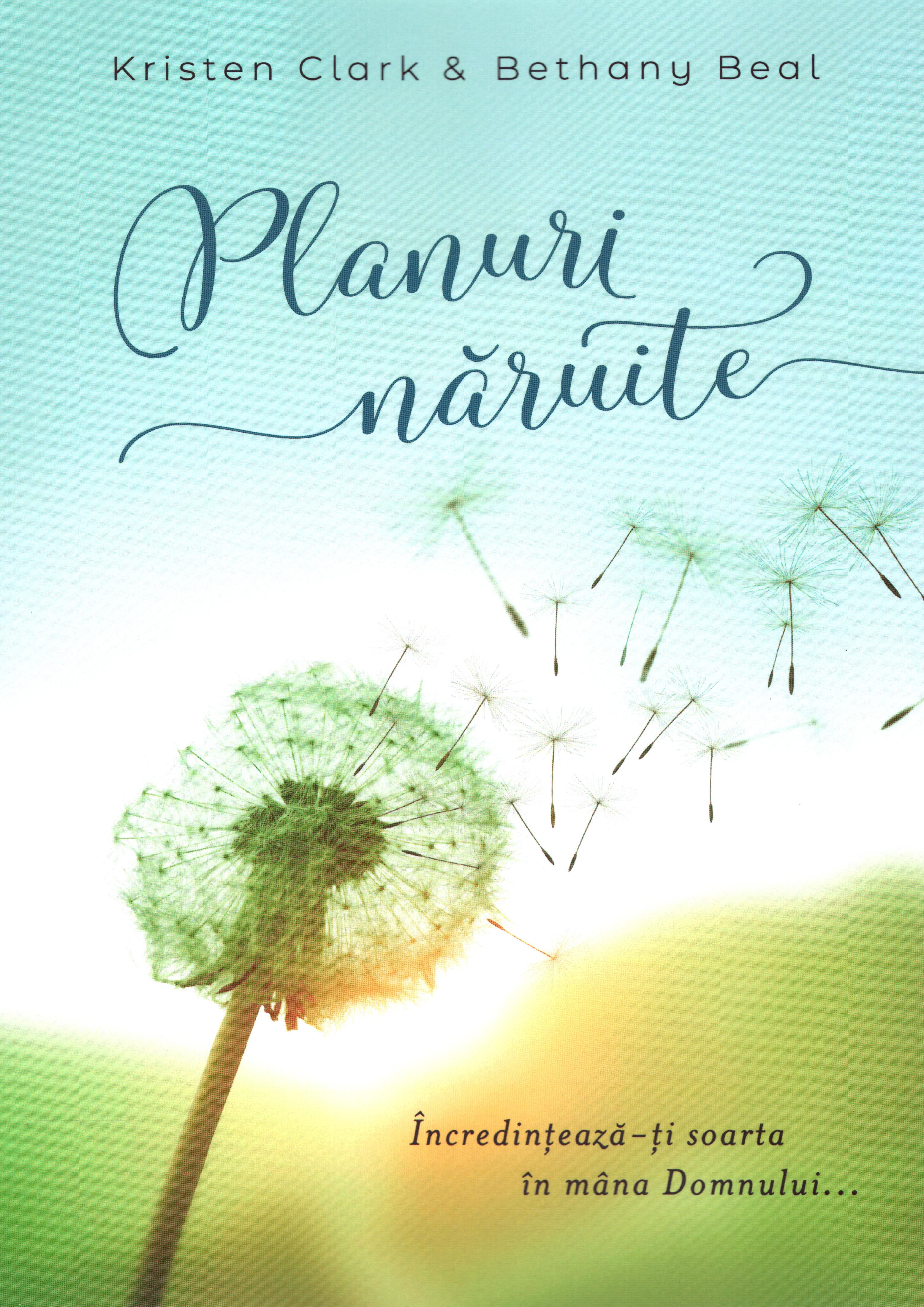 Planuri năruite