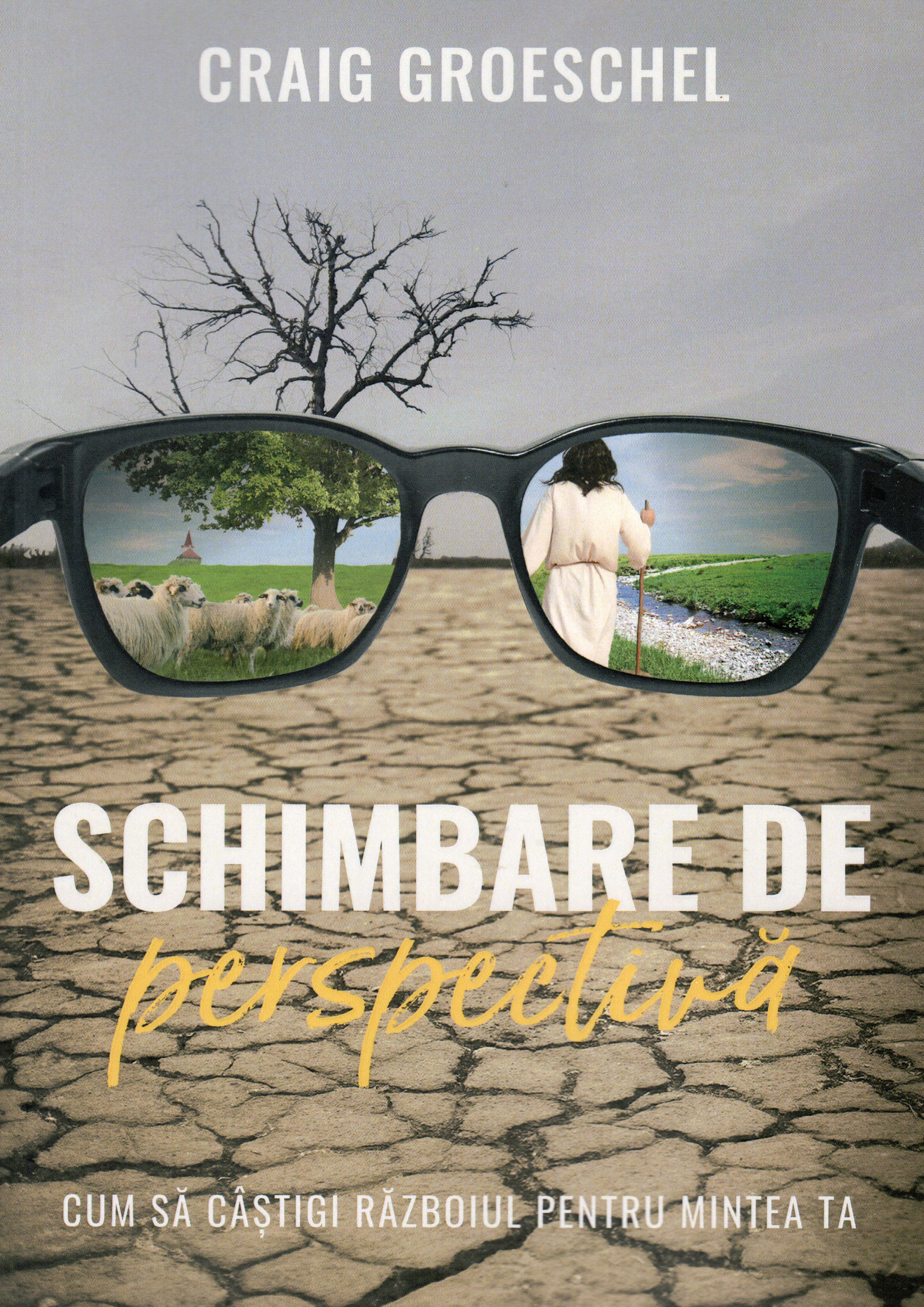 Schimbare de perspectivă