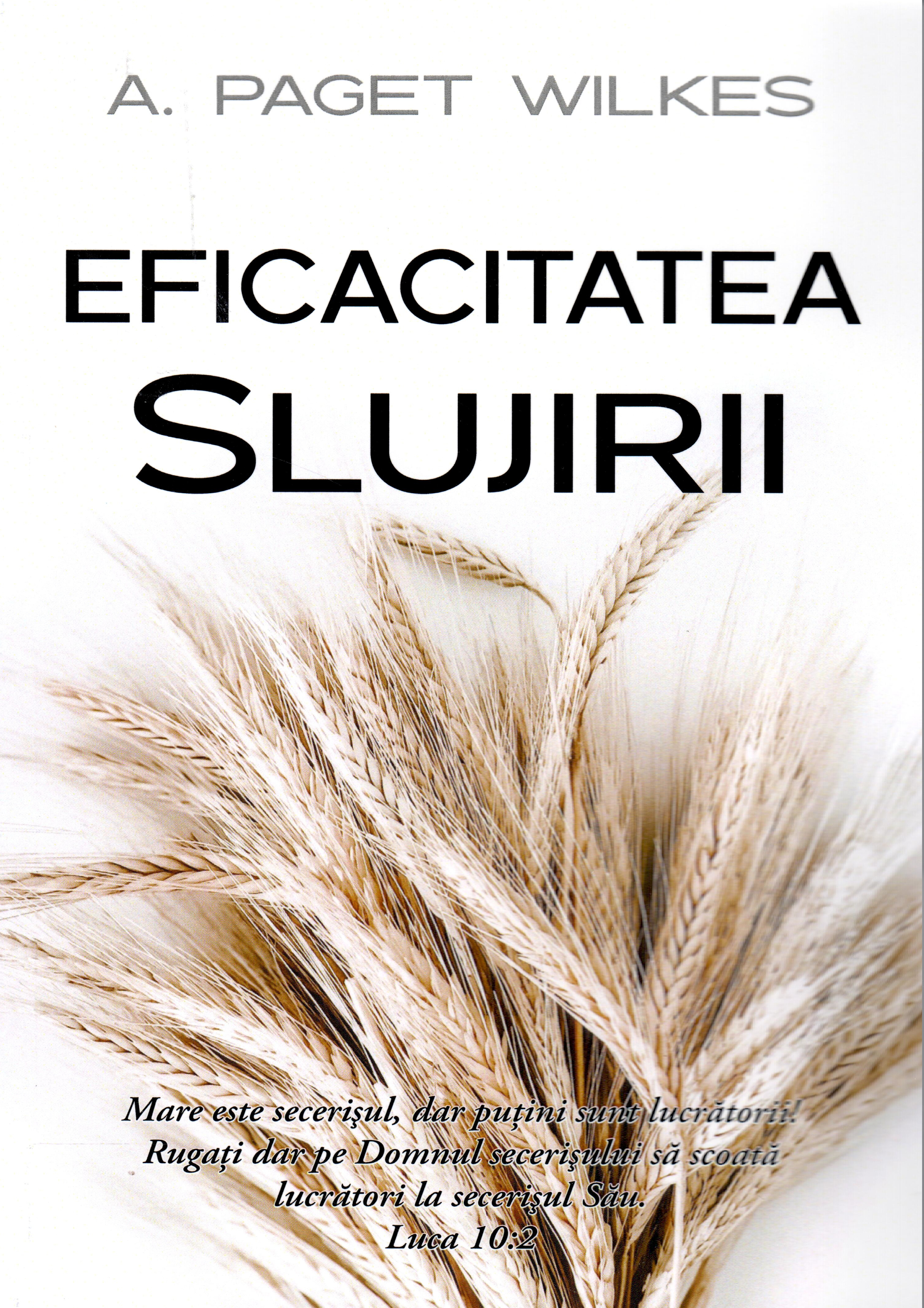 Eficacitatea Slujirii