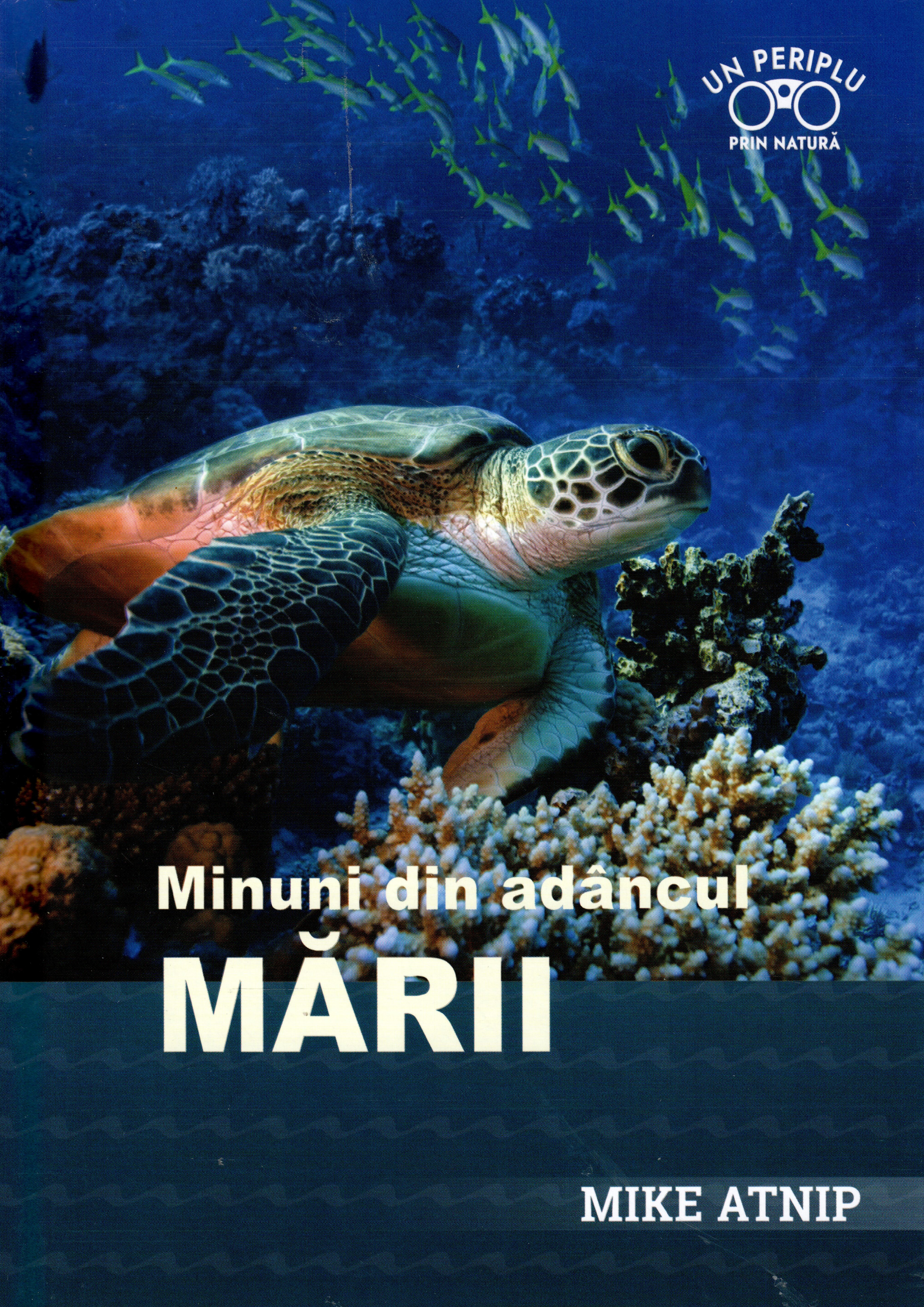 Minuni din adâncul mării