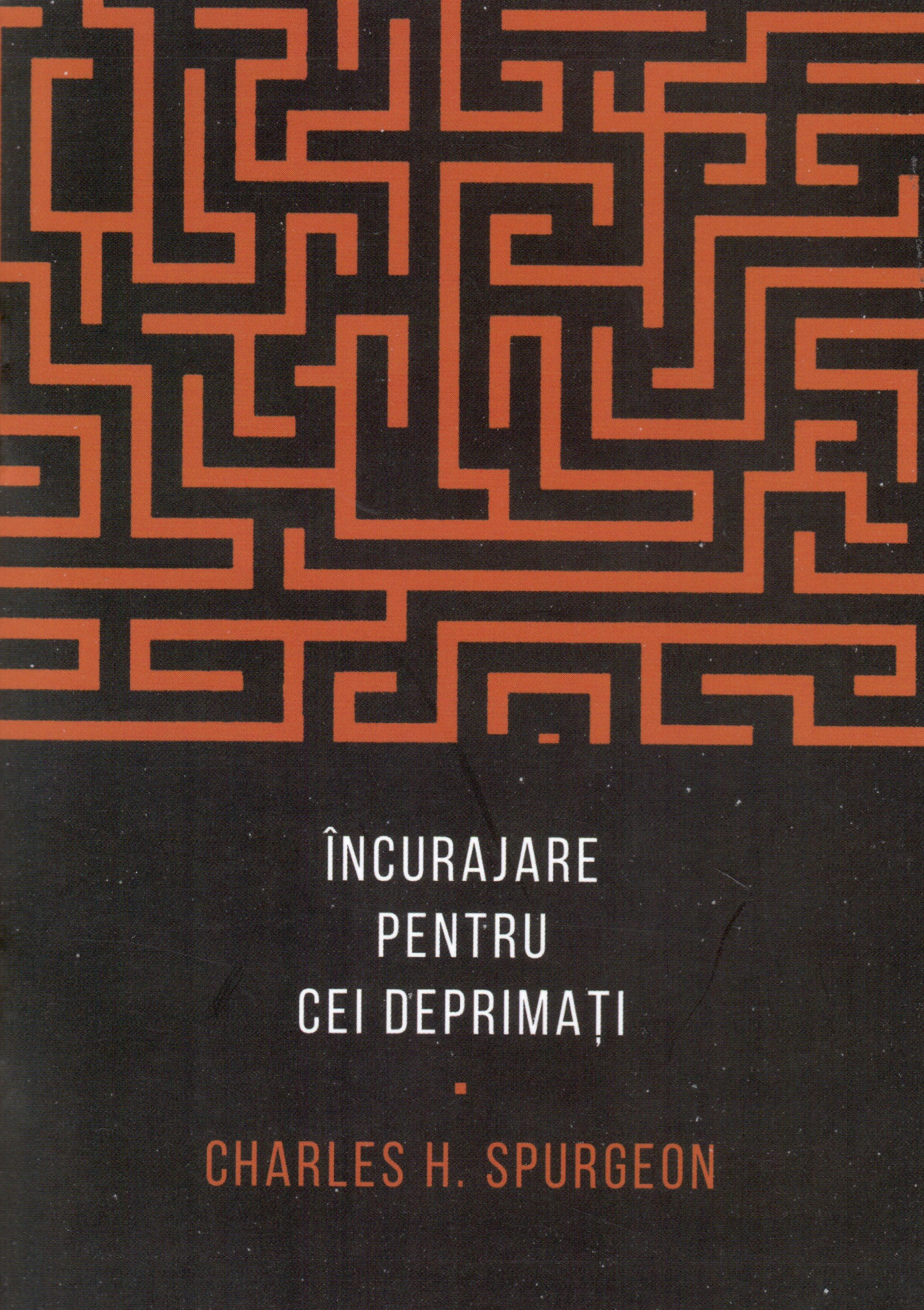 Încurajare pentru cei deprimați