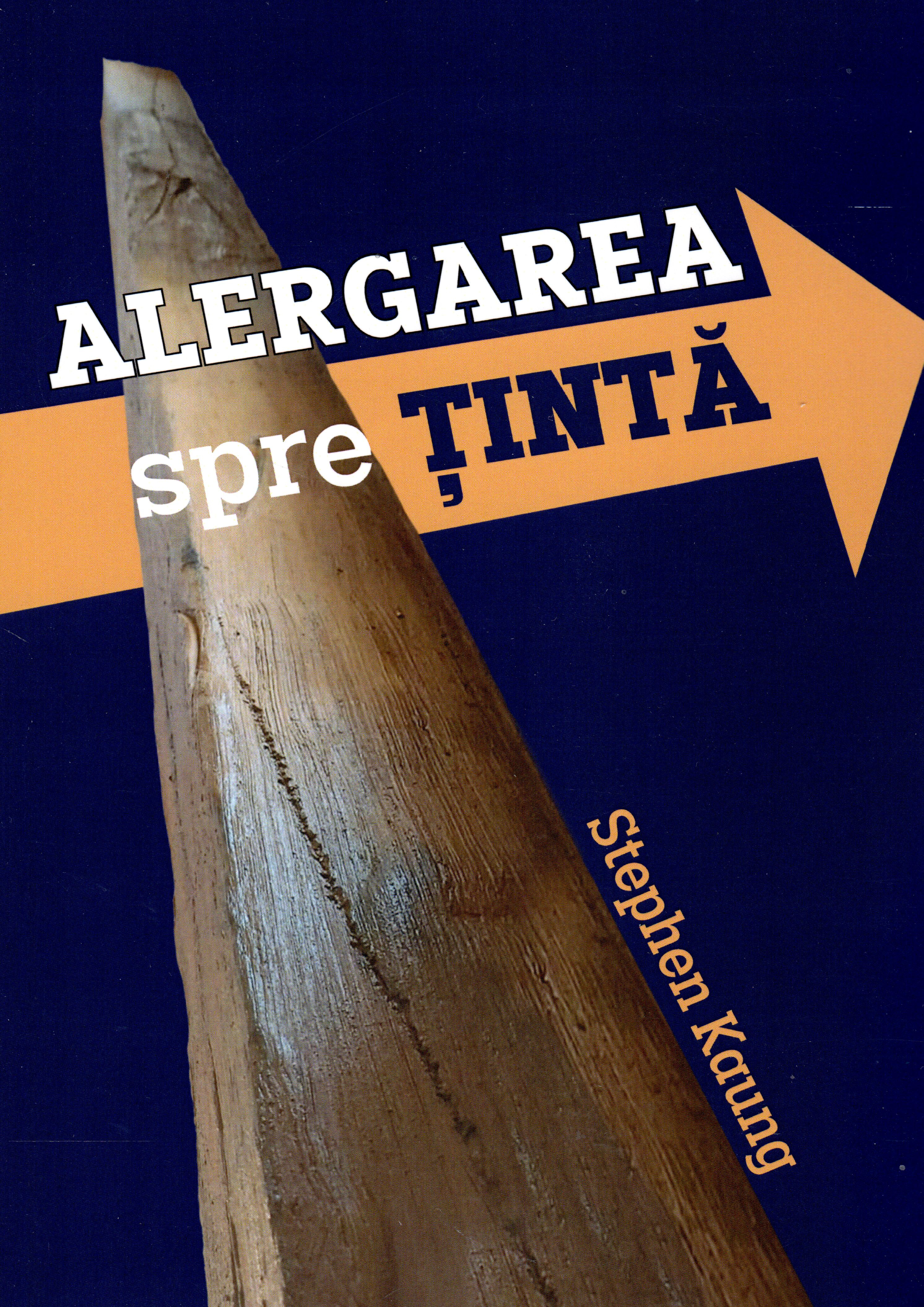 Alergarea spre țintă