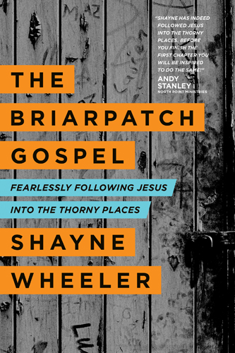 The Briarpatch Gospel
