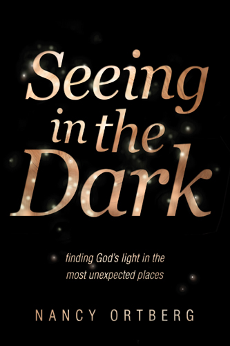 Seeing in the Dark