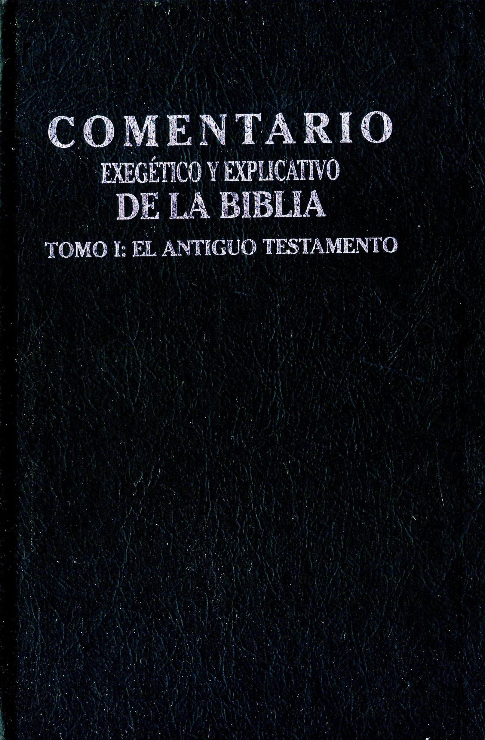 Comentario exegético y explicativo de la biblia