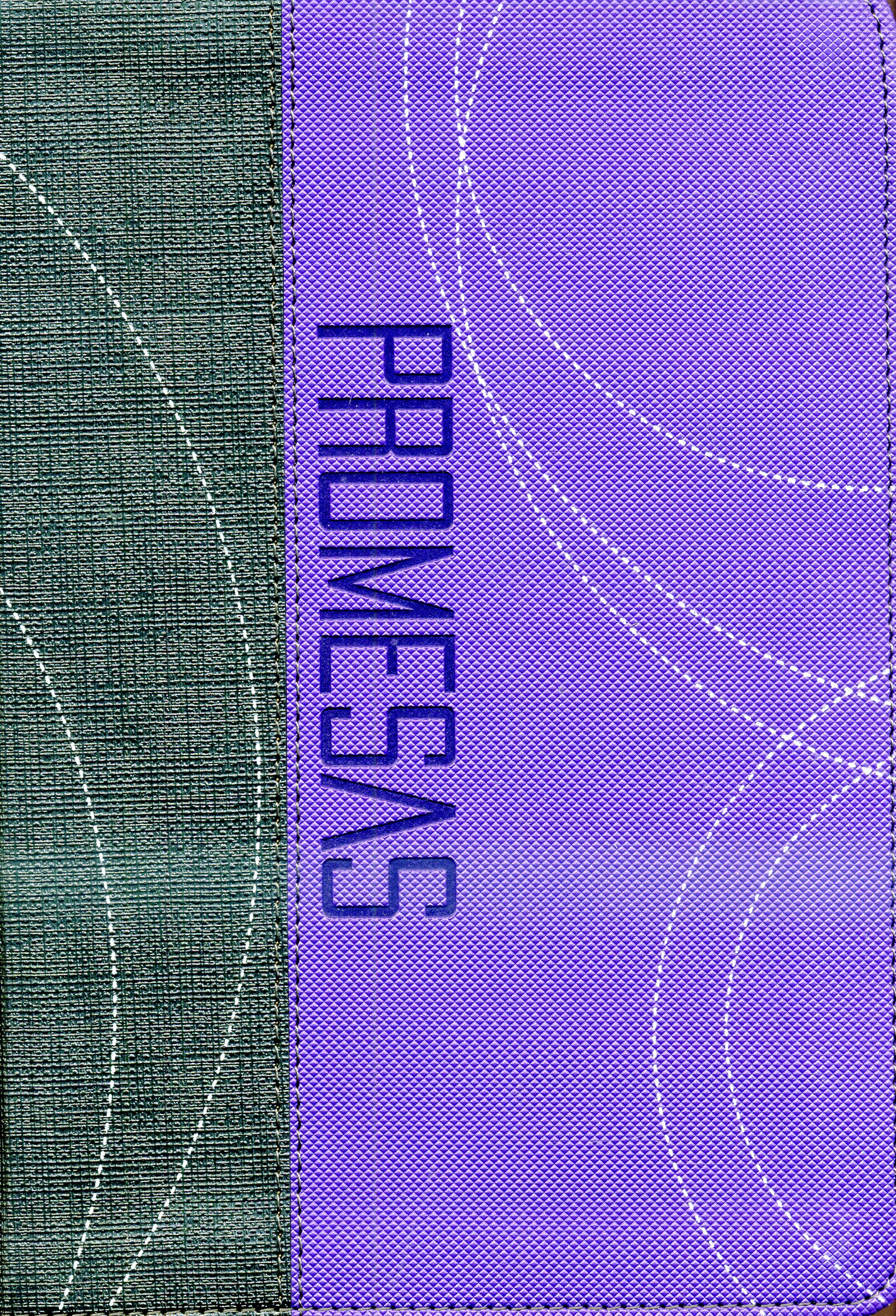 La biblia de "Dios, sus promesas y tu"