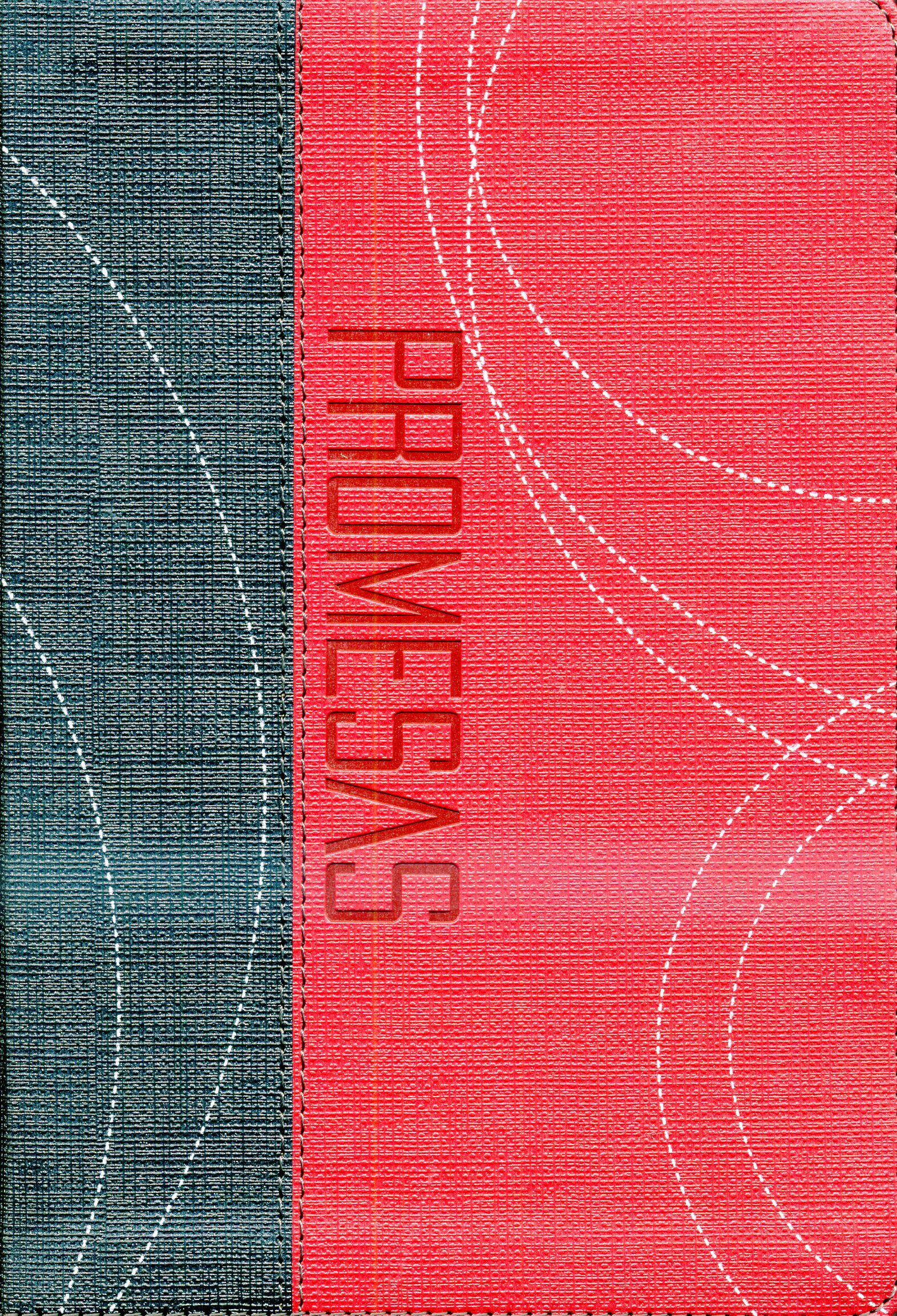 La biblia de "Dios, sus promesas  y tu"