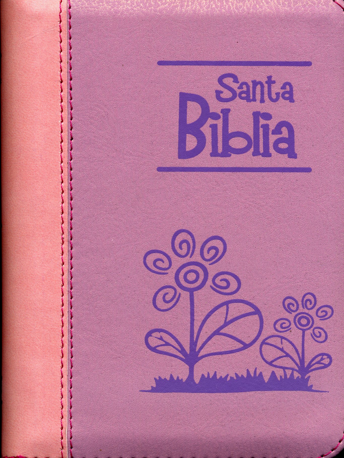 Santa biblia
